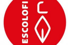 10-Escolofi